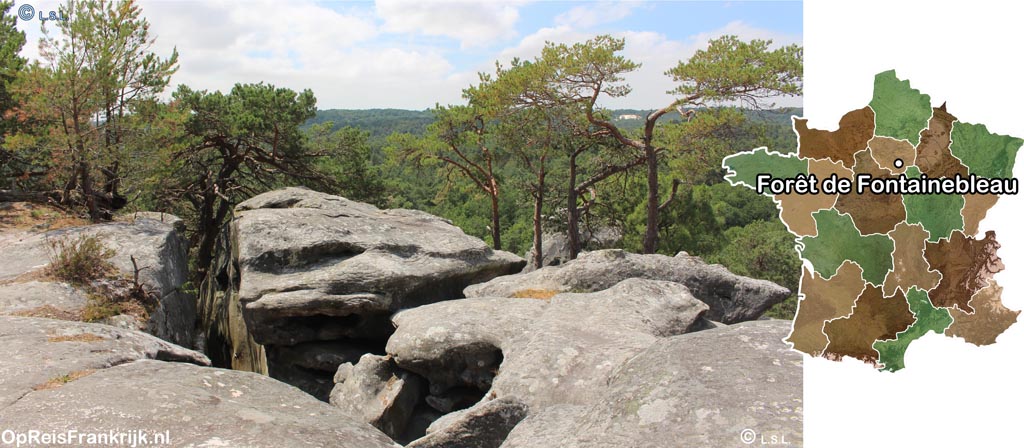 bos van Fontainebleau