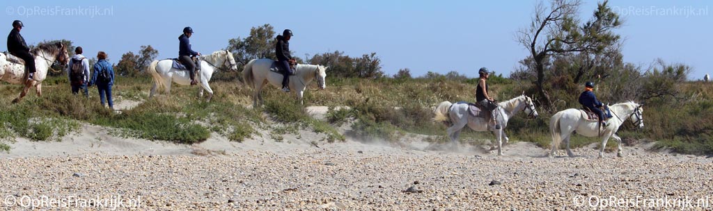 paardrijden in de Camargue