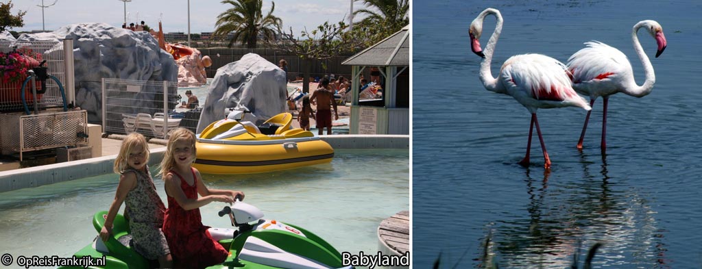 Le Grau-du-Roi; Babyland en flamingos